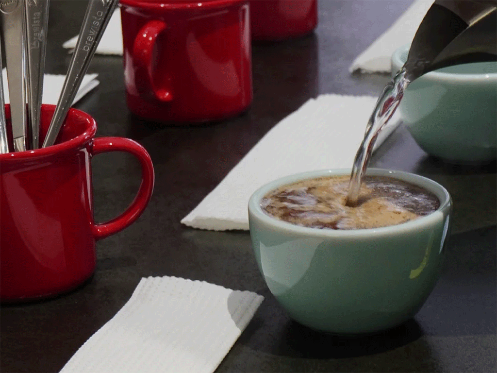 pouring hot water into cupping bowls during a coffee cupping session