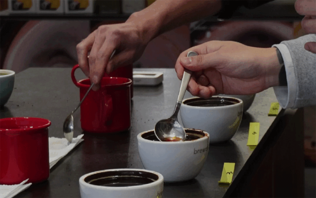 coffee cupping session with a row of labeled cups on a tasting table-YamiPak Coffee