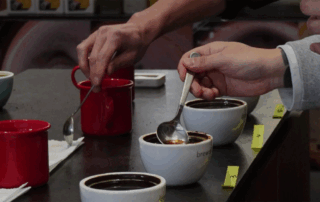 coffee cupping session with a row of labeled cups on a tasting table-YamiPak Coffee