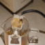 A drip coffee bag being brewed over a cup.