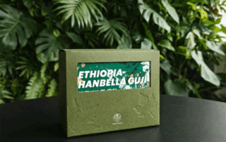 Debossing coffee box with recessed logo and subtle pattern details on a black table with green foliage in the background.