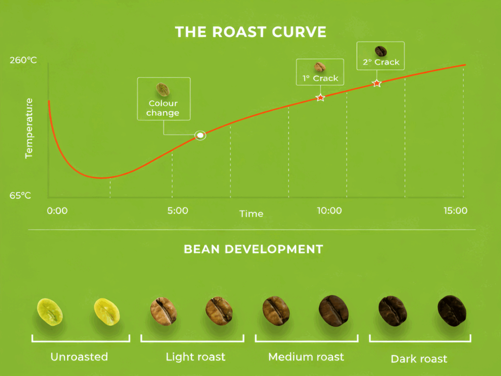Graph showing coffee roast curve over time with key events (colour change, first and second crack) and corresponding bean development stages from unroasted to dark roast.
