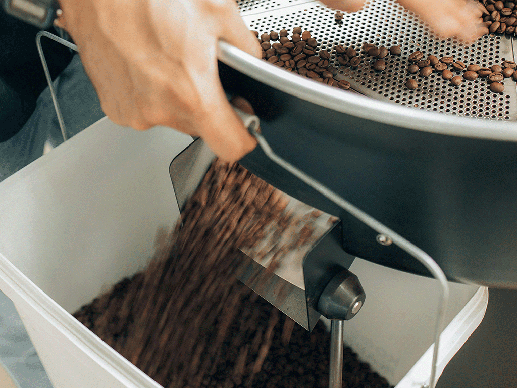 Freshly roasted coffee beans being poured from a roaster into a container, showing batch handling and roast consistency in practice.