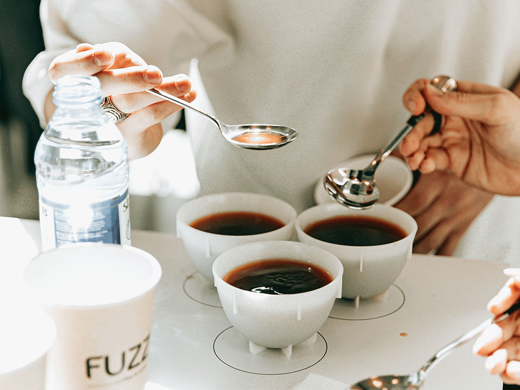 Coffee cupping session with three cups being tasted by a roaster, demonstrating triangulation and flavor evaluation for consistent roast profiles