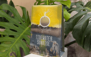 Stand-up coffee pouch with a clear window for product visibility, set in a natural environment with tropical greenery.