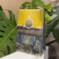 Stand-up coffee pouch with a clear window for product visibility, set in a natural environment with tropical greenery.