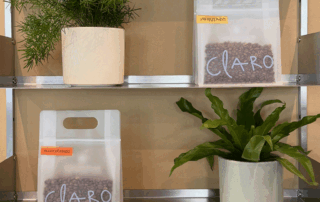 Matte coffee bags with built-in handles displayed on retail shelves beside green plants