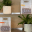 Matte coffee bags with built-in handles displayed on retail shelves beside green plants