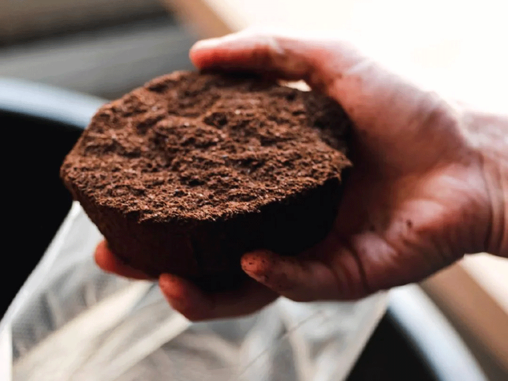 Used coffee grounds being collected for reuse as a sustainable coffee waste resource
