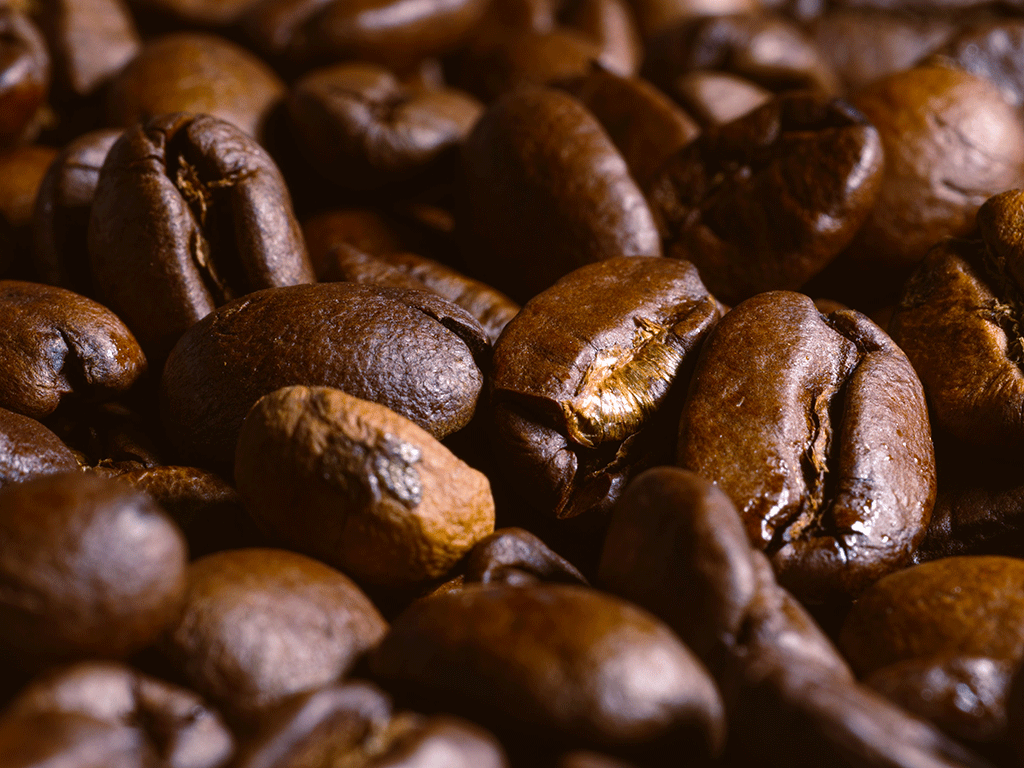 Why_Coffee_Roast_Defects_Matte_for_Roasters_1 roasted coffee beans showing differences in colour and roast development