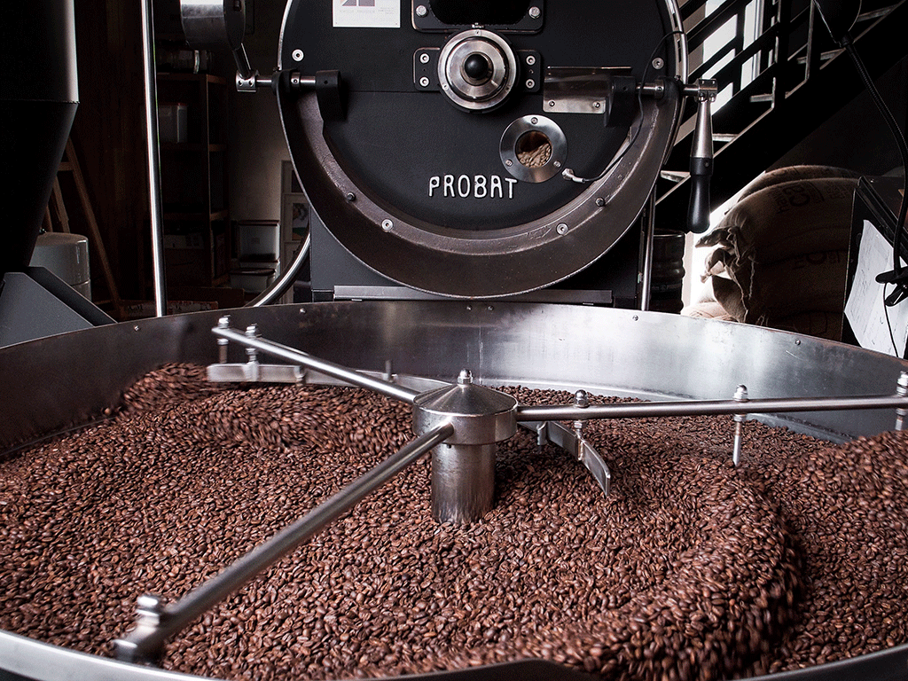 coffee roaster machine with freshly roasted beans during the roasting process