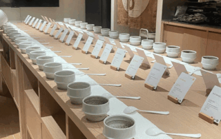 Coffee cupping session with multiple coffee samples for professional flavour evaluation