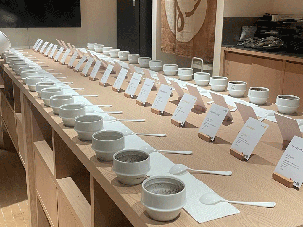 Why_Coffee_Tasting_Experiences_Matter_for_Specialty_Coffee_Roasters_1 Coffee cupping session with multiple coffee samples for professional flavour evaluation