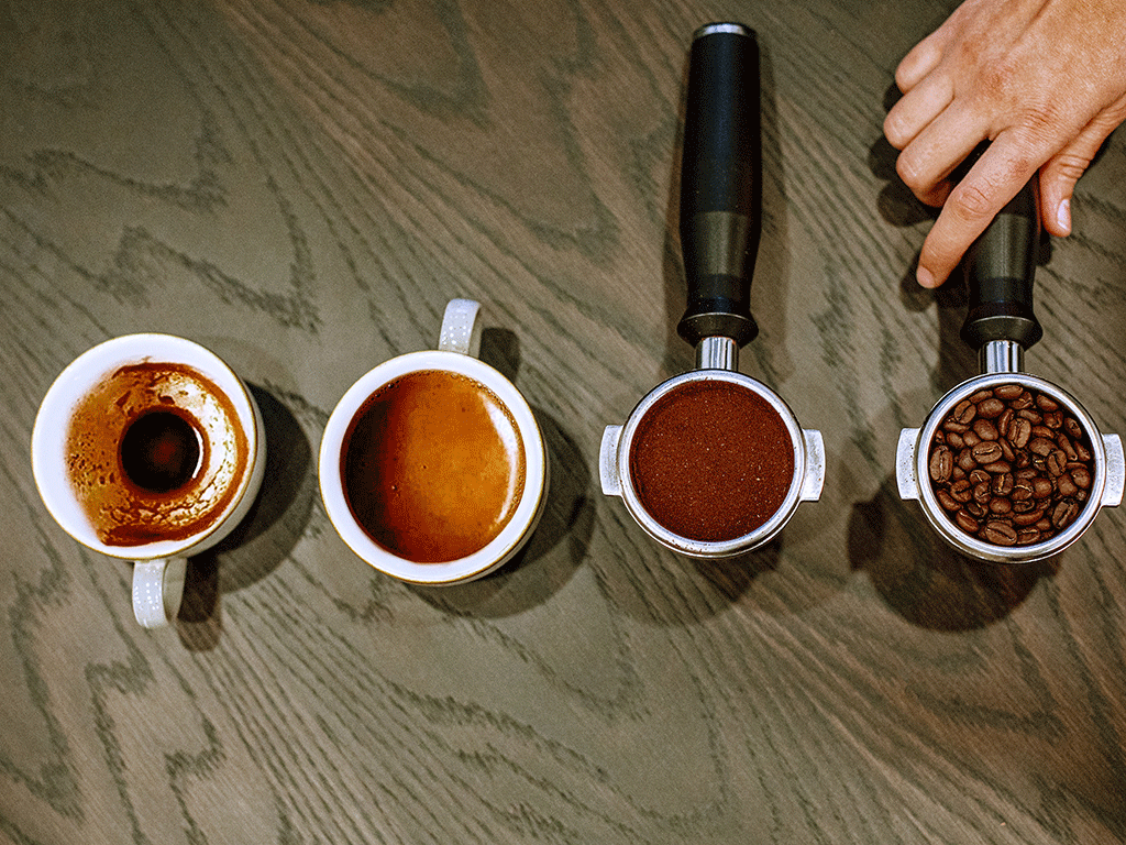 Comparing different coffee samples and brewing methods during a coffee tasting experience