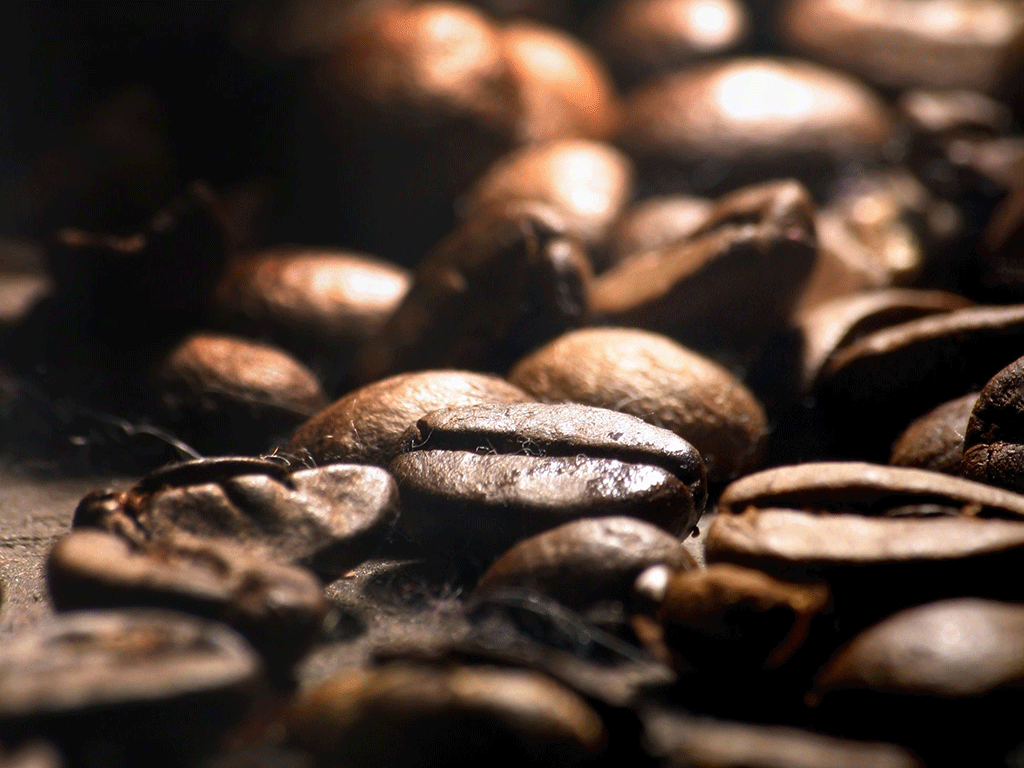 Should_Specialty_Coffee_Roasters_Offer_Decaf_Coffee_1 Close-up of freshly roasted coffee beans